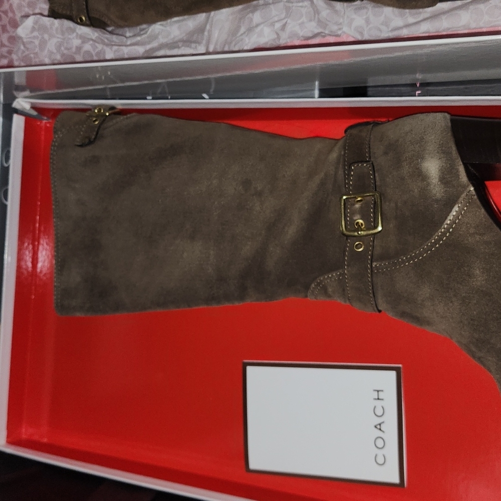 NIB Coach A7284 Suede Robynn Heeled Boots in Flint Goldtone Hardware Sz 9 $528 - Picture 5 of 9